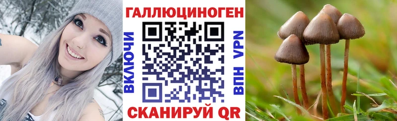 как найти наркотики  Калязин  Галлюциногенные грибы GOLDEN TEACHER 